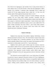 Rūgštusis lietus 5 puslapis