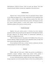 Rūgštusis lietus 8 puslapis