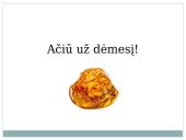 Gintaras – gamtinis polimeras 11 puslapis