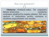 Gintaras – gamtinis polimeras 4 puslapis