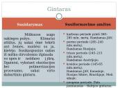 Gintaras – gamtinis polimeras 5 puslapis