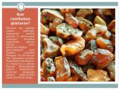 Gintaras – gamtinis polimeras 8 puslapis