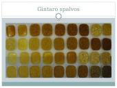 Gintaras – gamtinis polimeras 10 puslapis