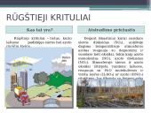 Oro tarša bei šiltnamio efektas 12 puslapis