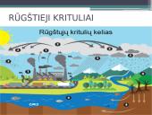 Oro tarša bei šiltnamio efektas 13 puslapis