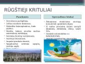 Oro tarša bei šiltnamio efektas 14 puslapis