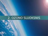 Oro tarša bei šiltnamio efektas 6 puslapis