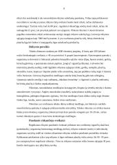 Rūkymo problema ir jos sprendimo būdai 7 puslapis