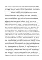 Rūmų dvaro visuomenės prestižas ir etiketas 7 puslapis