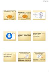 Geodezija. Žemės forma 2 puslapis