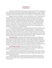 Kaukolės anatomija 2 puslapis