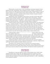 Kaukolės anatomija 3 puslapis