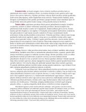 Kaukolės anatomija 4 puslapis