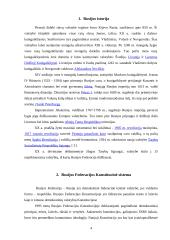 Rusijos konstitucinė sistema 3 puslapis