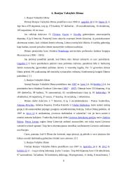 Rusijos konstitucinė sistema 5 puslapis