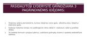 Distributed leadership (pasidalytoji lyderystė) 16 puslapis
