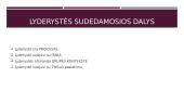 Distributed leadership (pasidalytoji lyderystė) 4 puslapis