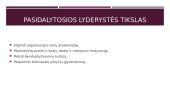 Distributed leadership (pasidalytoji lyderystė) 8 puslapis