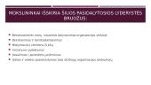 Distributed leadership (pasidalytoji lyderystė) 9 puslapis