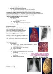 Patologinė anatomija: teorija 4 puslapis