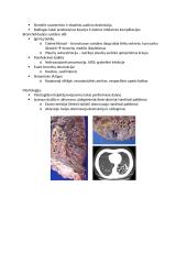 Patologinė anatomija: teorija 10 puslapis