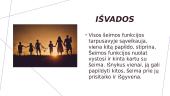 Šeimos funkcijos ir jų sąveikavimas 12 puslapis