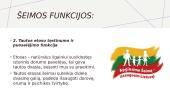Šeimos funkcijos ir jų sąveikavimas 6 puslapis