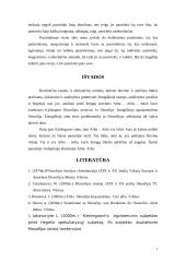 S. Kirkegoro etika 7 puslapis