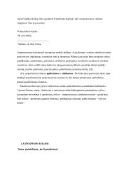 Samprotaujamo tipo pranešimas 2 puslapis