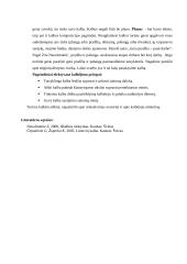 Samprotaujamo tipo pranešimas 12 puslapis