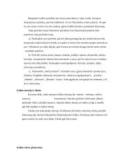 Samprotaujamo tipo pranešimas 3 puslapis