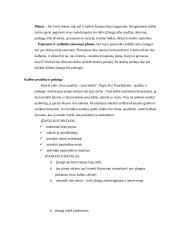 Samprotaujamo tipo pranešimas 4 puslapis