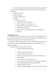 Samprotaujamo tipo pranešimas 5 puslapis