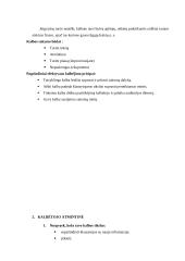 Samprotaujamo tipo pranešimas 7 puslapis