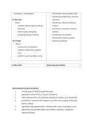 Samprotaujamo tipo pranešimas 9 puslapis