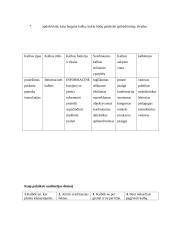 Samprotaujamo tipo pranešimas 10 puslapis