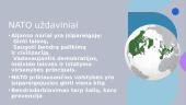 NATO (North Atlantic Treaty Organization) ir Lietuva 3 puslapis