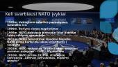 NATO (North Atlantic Treaty Organization) ir Lietuva 5 puslapis