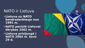 NATO (North Atlantic Treaty Organization) ir Lietuva 6 puslapis