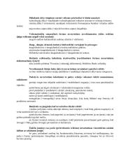 Pasitaikančios gramatikos klaidos 3 puslapis