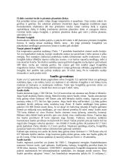 Saulės gimimas ir mirtis 2 puslapis