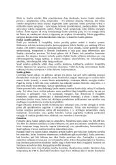 Saulės gimimas ir mirtis 3 puslapis