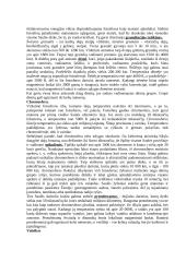 Saulės gimimas ir mirtis 4 puslapis