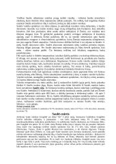 Saulės gimimas ir mirtis 5 puslapis