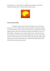 Saulės užtemimai, jų skirstymas, tipai bei pasekmės 6 puslapis