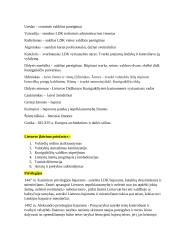 13-15 a. Datos ir sąvokos 3 puslapis