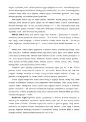 Sausumos ekosistemų įvairovės priežastys 3 puslapis