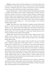 Sausumos ekosistemų įvairovės priežastys 4 puslapis