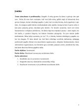 Savanorystės socialiniame darbe analizė 3 puslapis