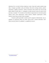 Savanorystės socialiniame darbe analizė 6 puslapis